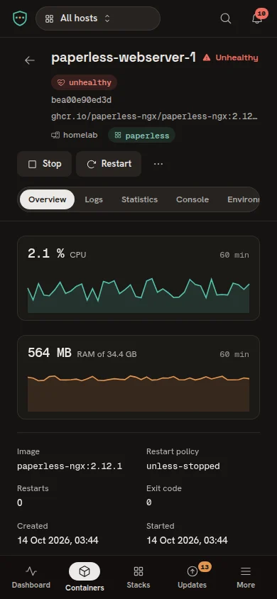 Container-Inspektor auf dem Telefon